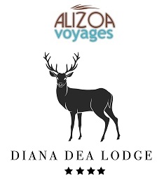 DIANA DEA LODGE - ALIZOA