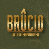 BRUCIO - LA CONTEMPORANEA